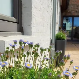  Holiday home Huize Andries Belgium